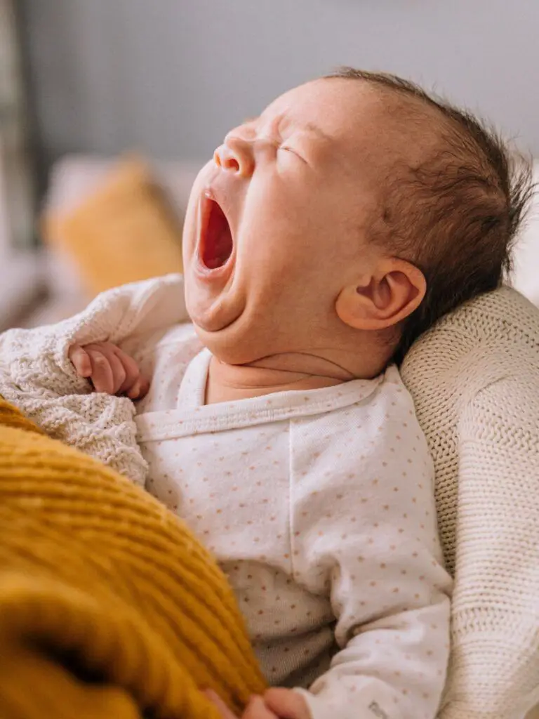 Embroidered baby blankets make great gift items and can be sold at craft shows.