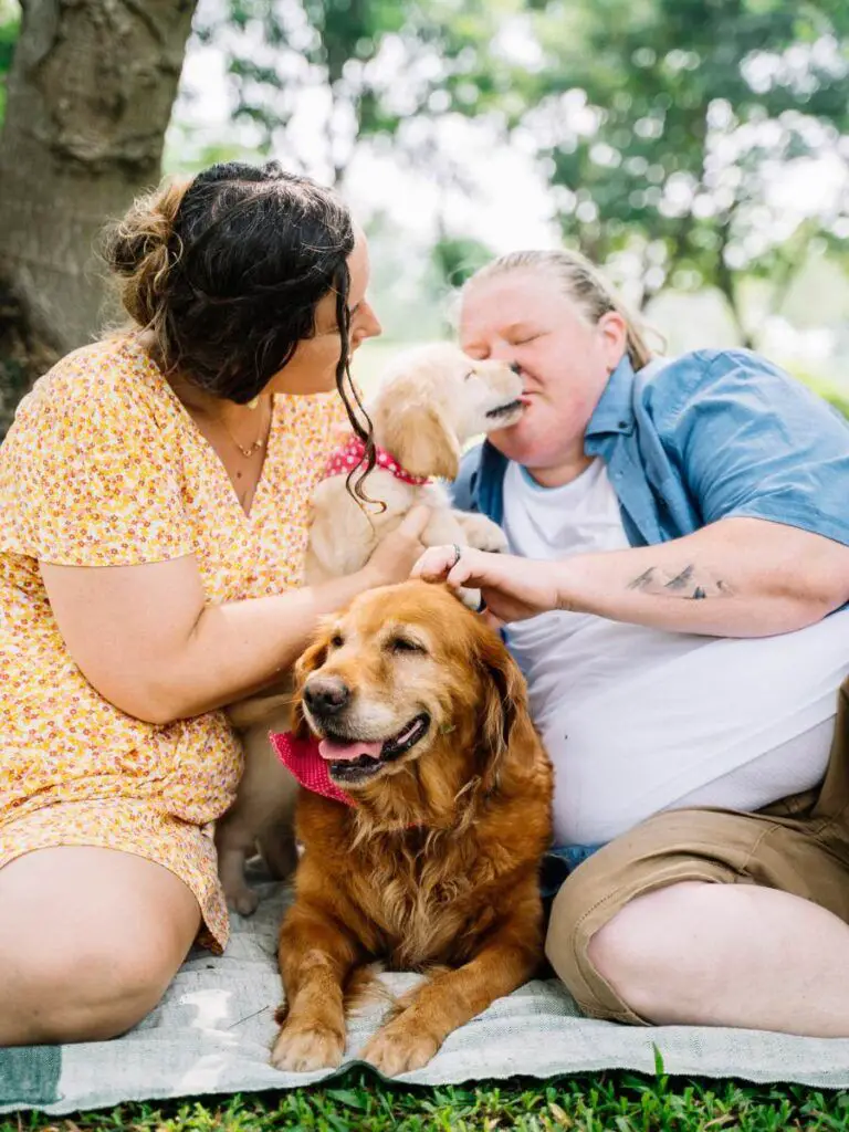 Visiting dog parks is a good way to connect and make new friendships over 50.