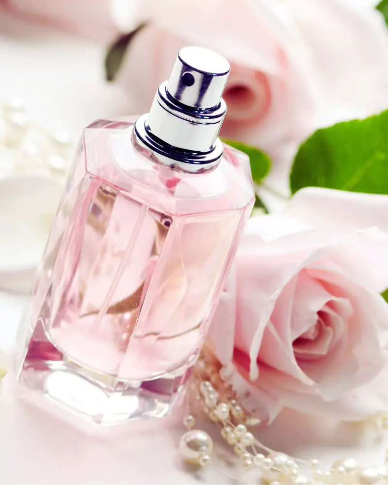 glass spray bottle filled with perfume leaning on a pink rose to demonstrate some of the best perfumes for women over 50