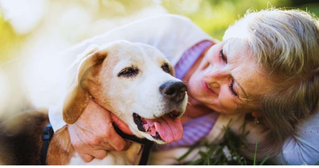 A labrador retriever in the arms of a woman over 60