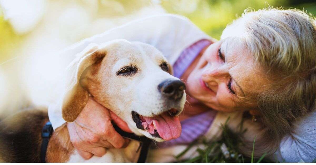 A labrador retriever in the arms of a woman over 60