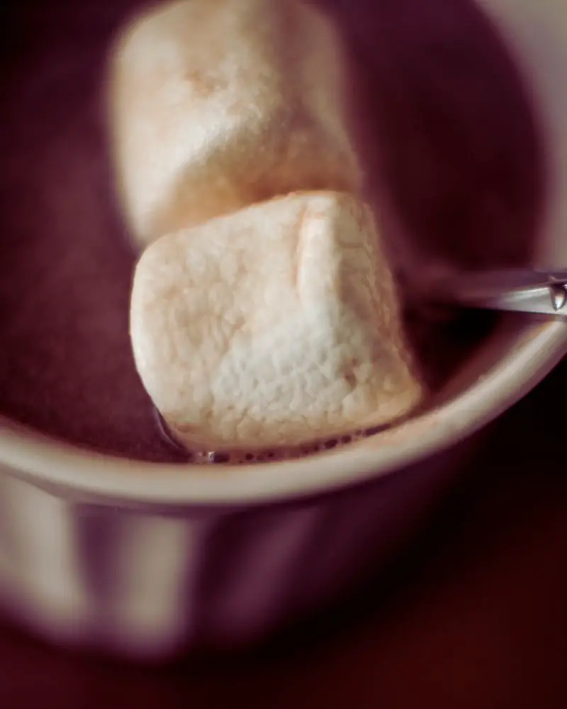 a cup of hot chocolate with marshmallows to describe cabin quotes for instagram