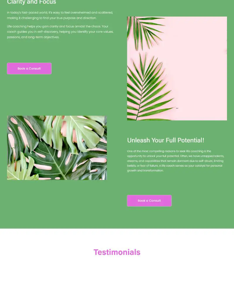 a screenshot of a green and white website that doesn't show you which squarespace version you have