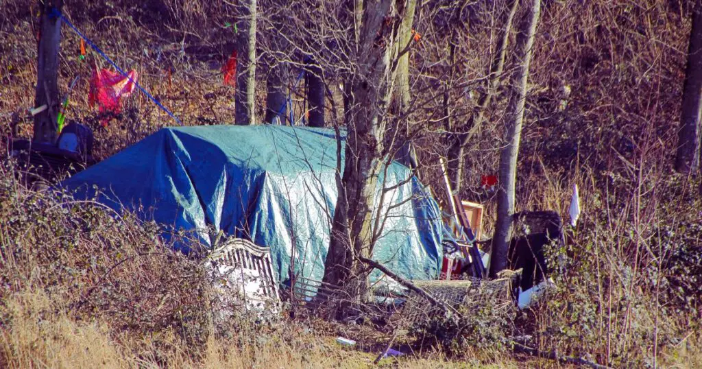 a tent in the woods