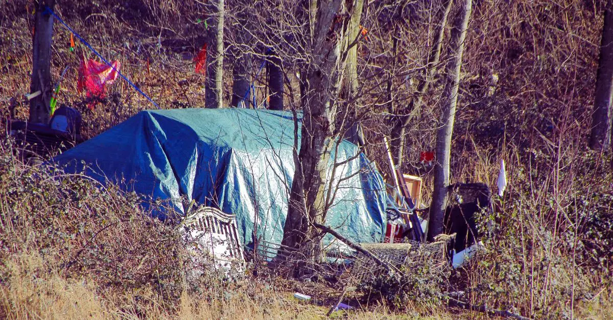 a tent in the woods