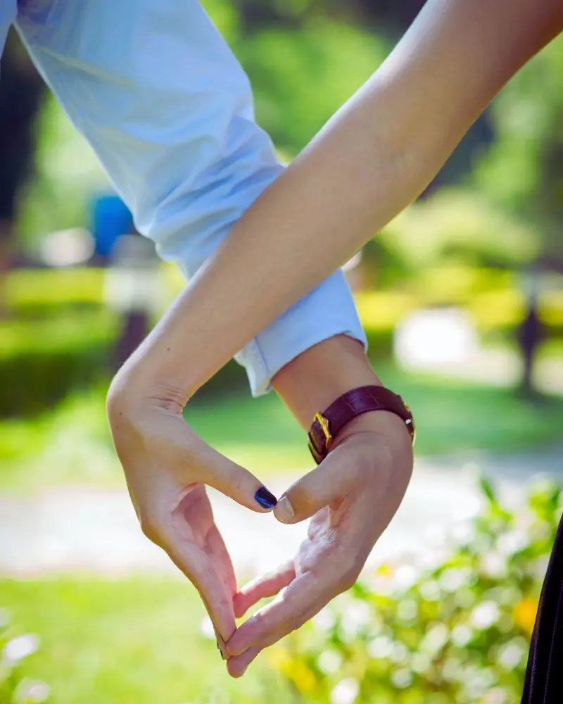 a pair of hands holding each other