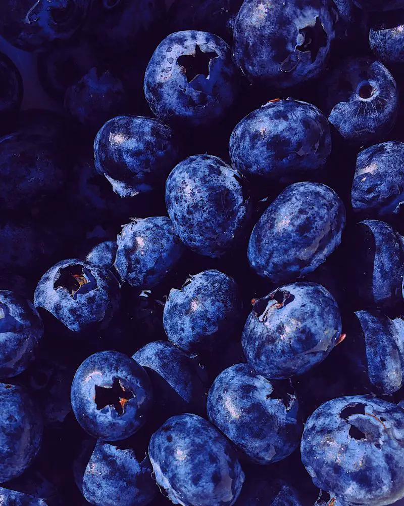 Blueberries, which are a great addition to a post tummy tuck meal plan