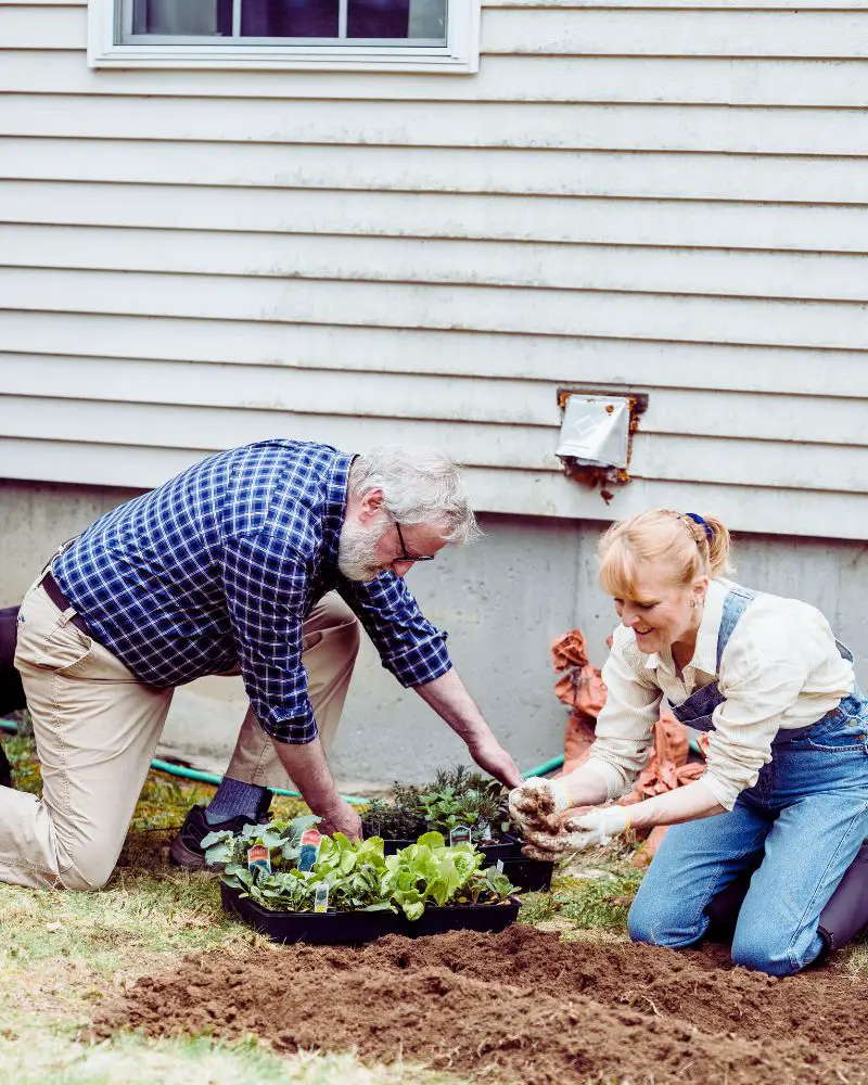 a man and woman planting plants in a garden as part of their side hustle