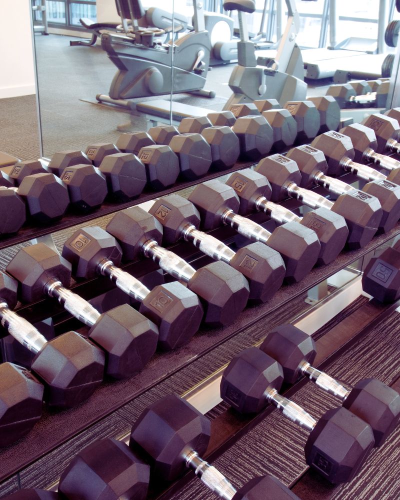 a row of dumbbells on a shelf to demonstrate the best exercise equipment for over 60